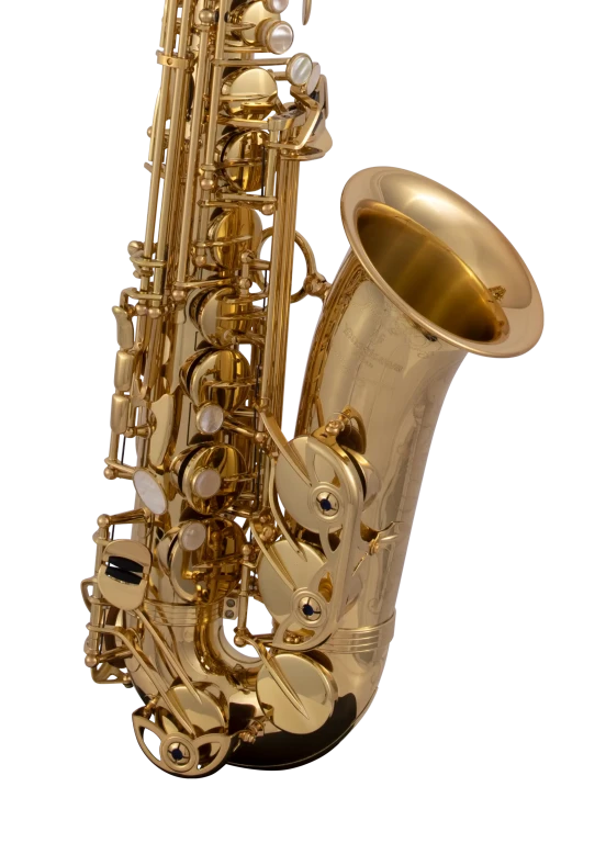 AW010 Yanagisawa Professional Alto Saxophone