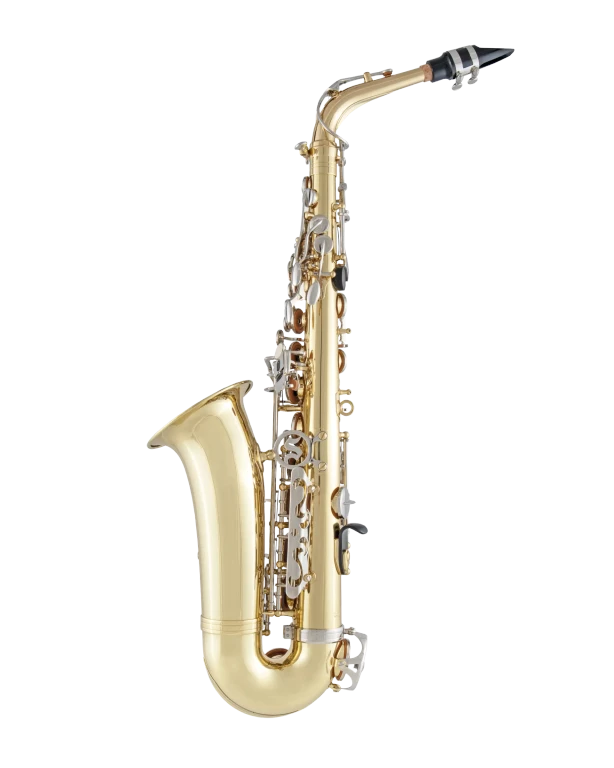 SAS201 Selmer Standard Student AltoSaxophone B