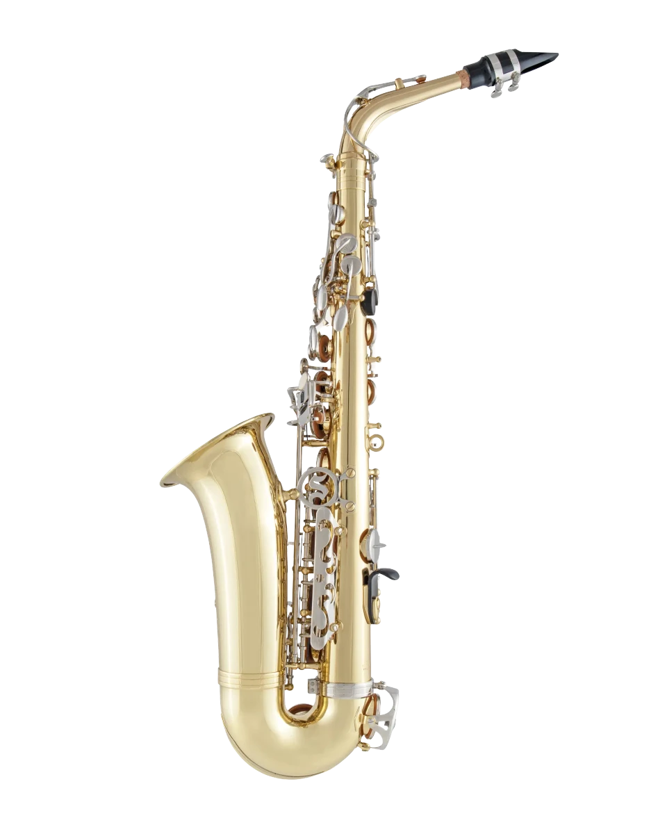 Selmer Alto Saxophone in Eb SAS201