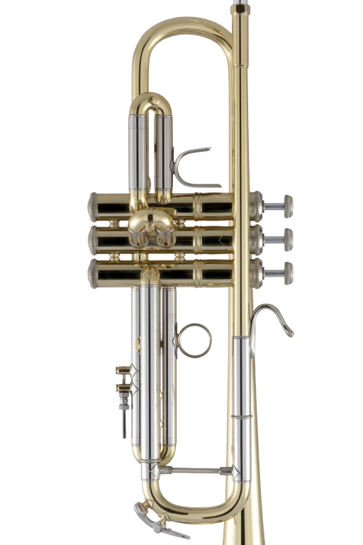 18043R Bach Professional Trumpet