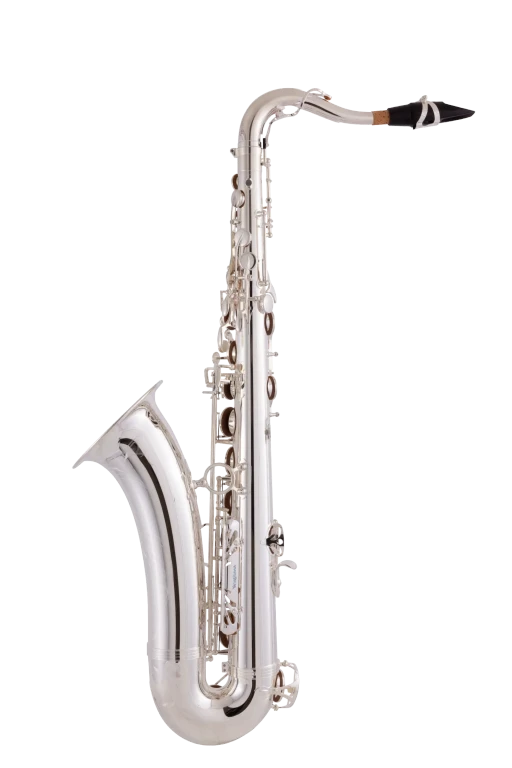 TWO10S Yanagisawa Professional TenorSaxophone