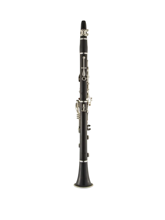 B16SIGEV HSP Professional Clarinet In Bk Vr Fs