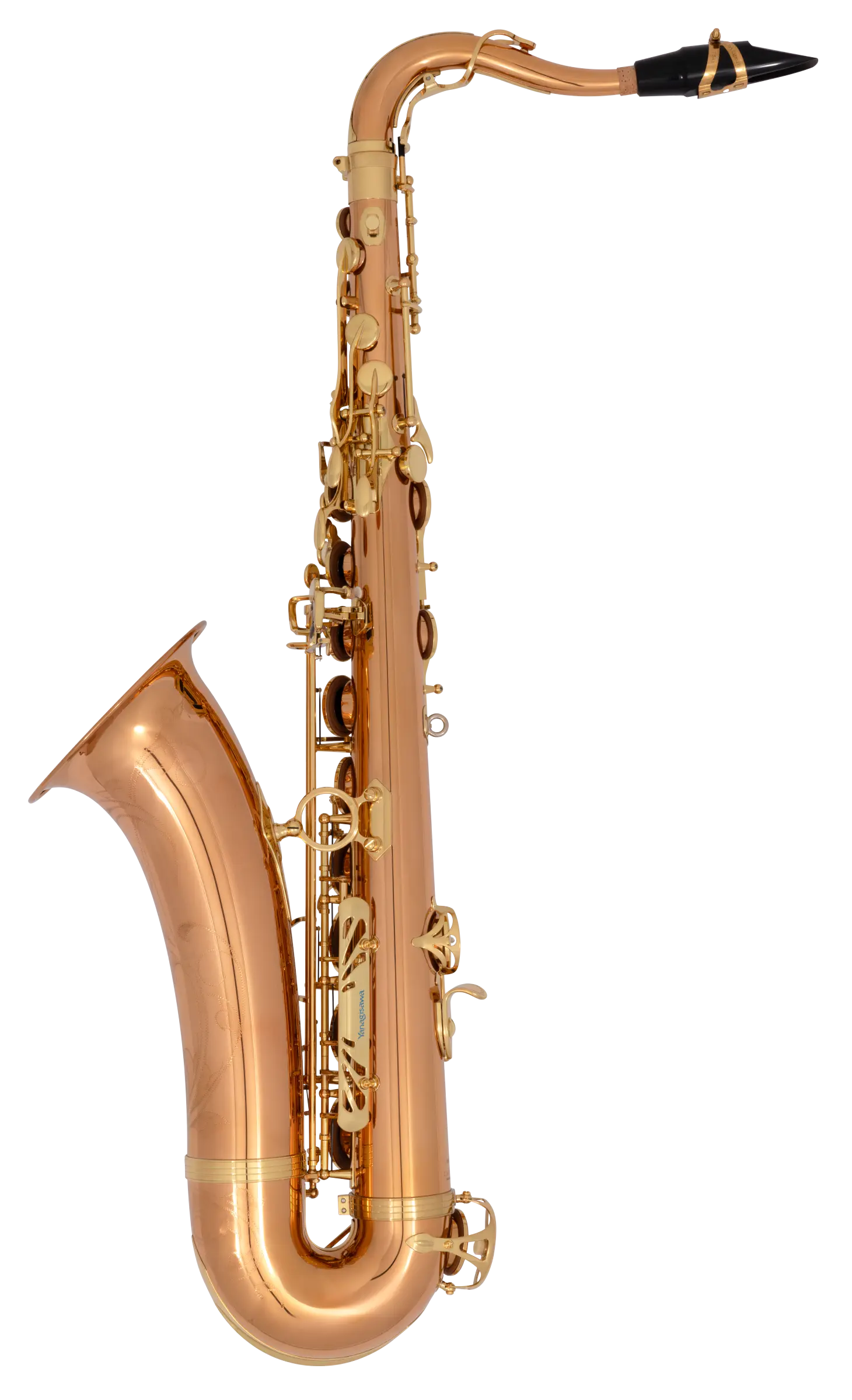 TWO20 Yanagisawa Professional Tenor Saxophone - zoomed in