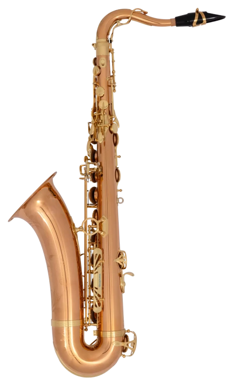 TWO20 Yanagisawa Professional Tenor Saxophone