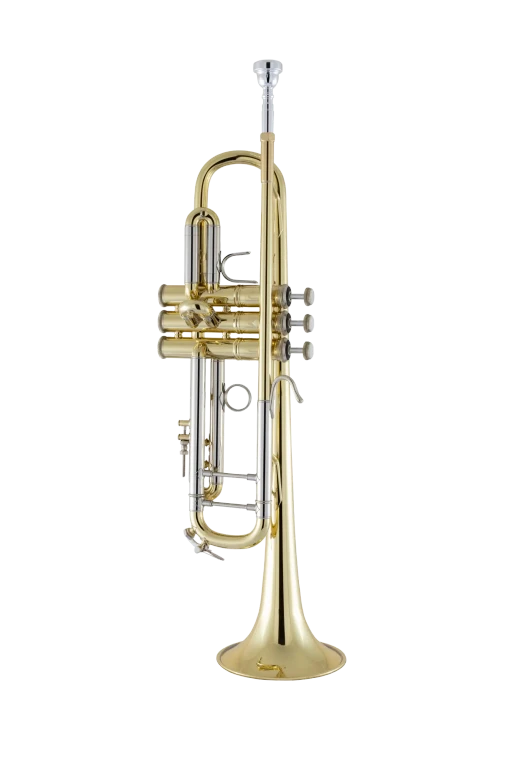 18043 Bach Professional Standard Trumpet In Fr Vr Fs