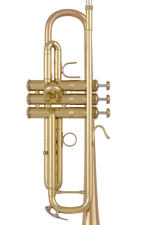 17043GYR Bach Professional Trumpet