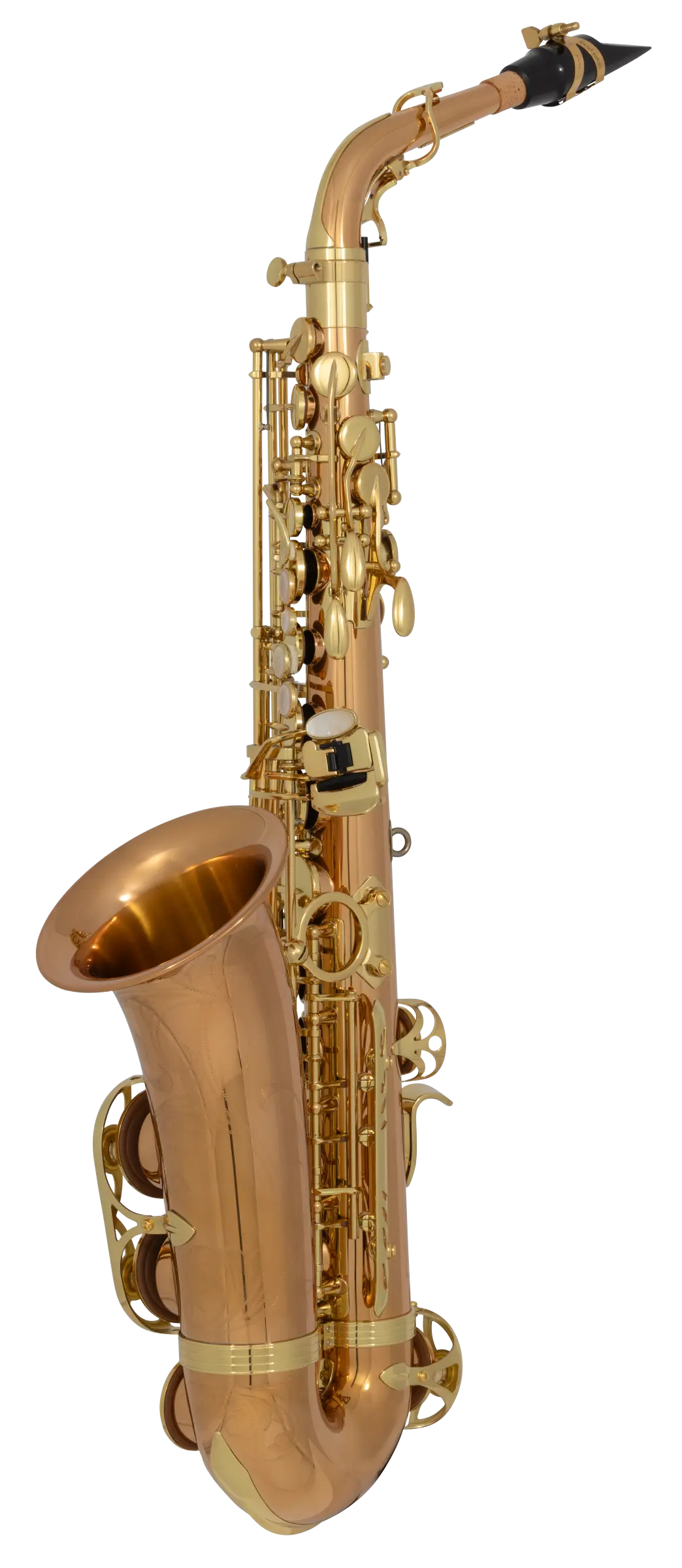 AW020 Yanagisawa Professional Alto Saxophone - zoomed in