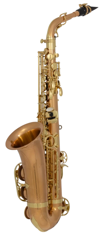 AW020 Yanagisawa Professional Alto Saxophone