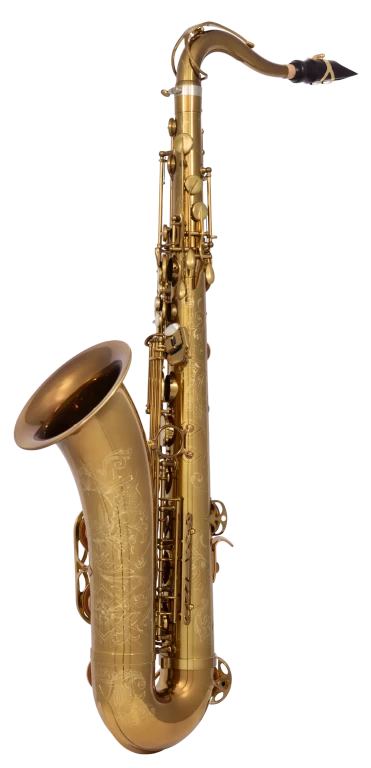 84SIGUSA1 HSP Professional Tenor