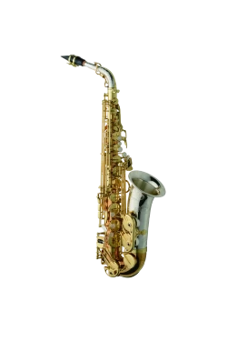 Yanagisawa Elite Alto Saxophone in Eb AW032