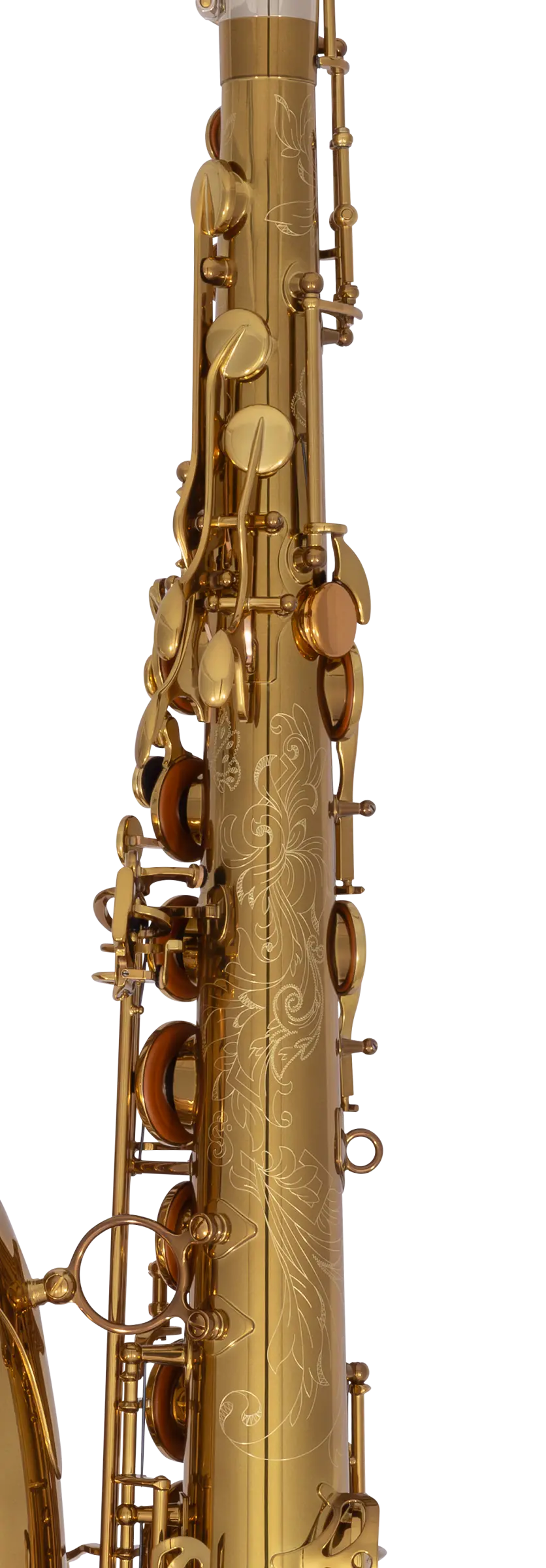 84SIGUSA1 HSP Professional Tenor - zoomed in
