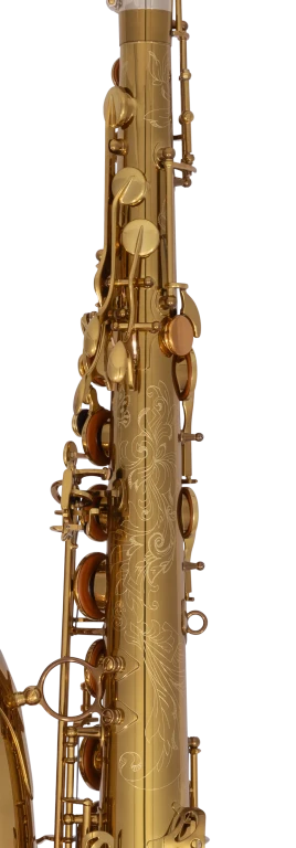 84SIGUSA1 HSP Professional Tenor