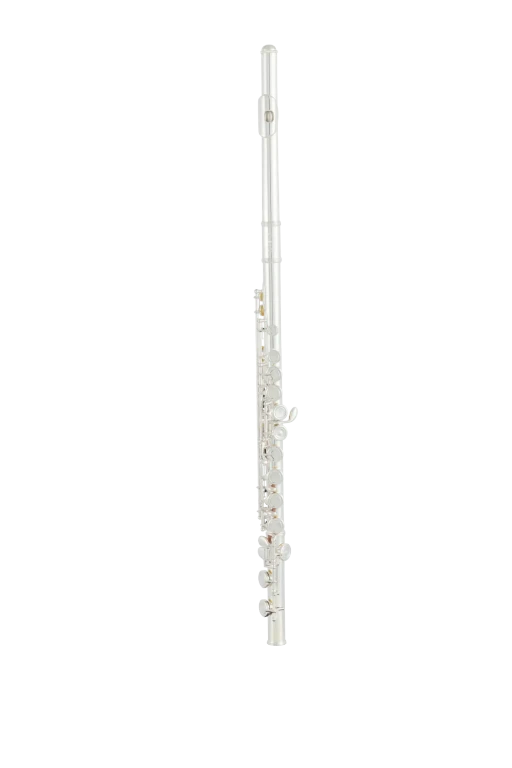 SFL302 Selmer Student Flute