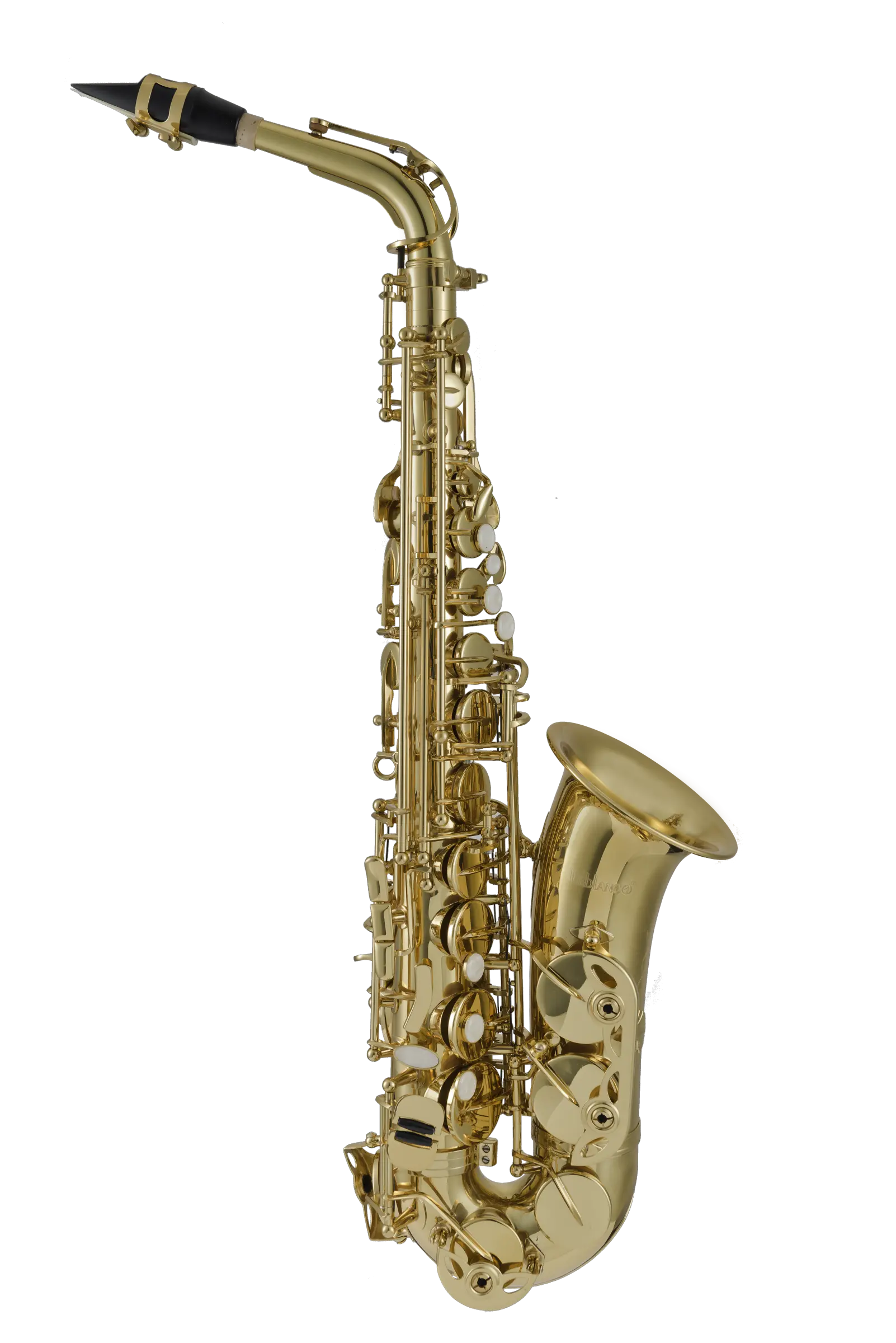 LAS211 Leblanc Student Alto Saxophone - zoomed in