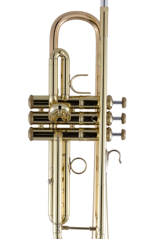 17043GYR Bach Professional Trumpet