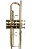 Bach Trumpet in Bb 17043GYR