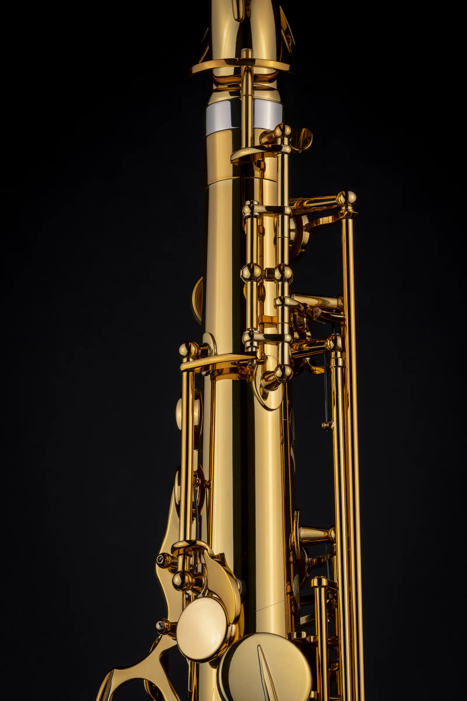 84SIG Selmer Professional Tenor Saxophone ArtShot - zoomed in