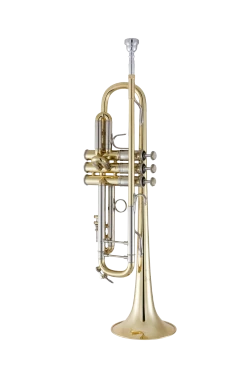 Bach Stradivarius Trumpet in Bb 19043