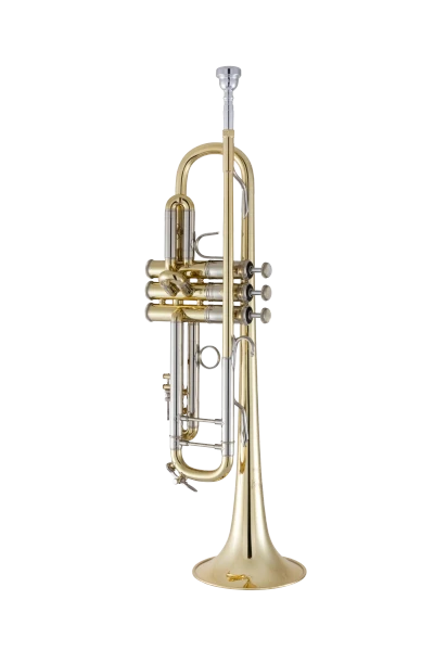 Bach Stradivarius Trumpet in Bb 19043