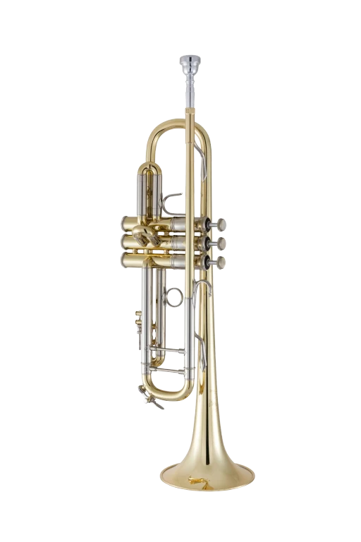 19043 Bach Professional Trumpet