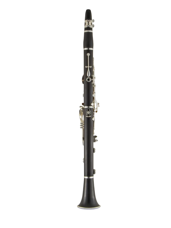 B1610REV HSP Professional Clarinet In Bk Vr Fs