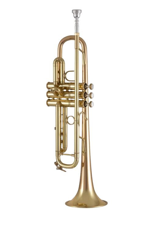 17043GY Bach Standard Professional BflatTrumpet