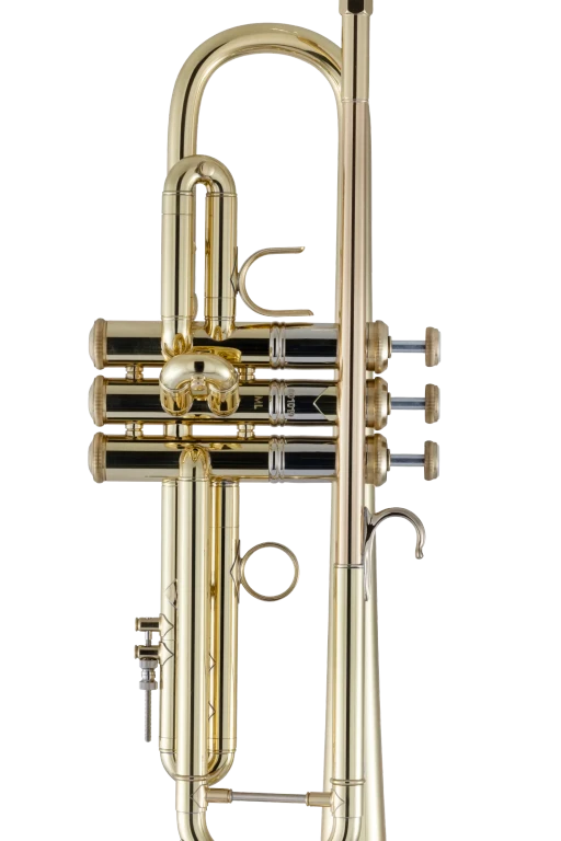 19072X Bach Professional Trumpet