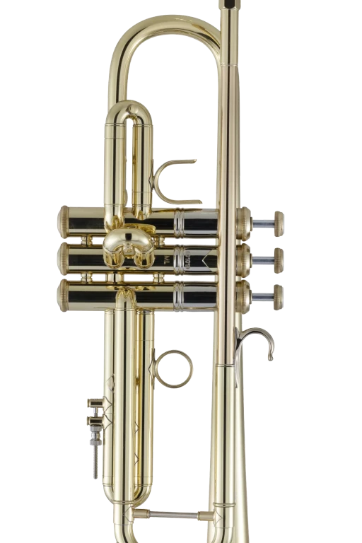 19072X Bach Professional Trumpet