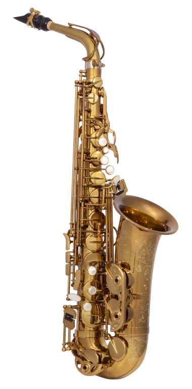 82SIGUSA1 HSP Professional  Alto