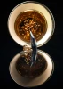 Slide 8 Thumbnail