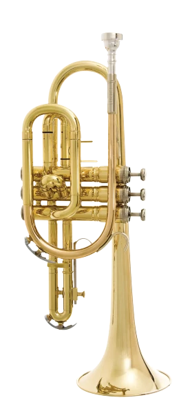 Bach Cornet in Bb CR301