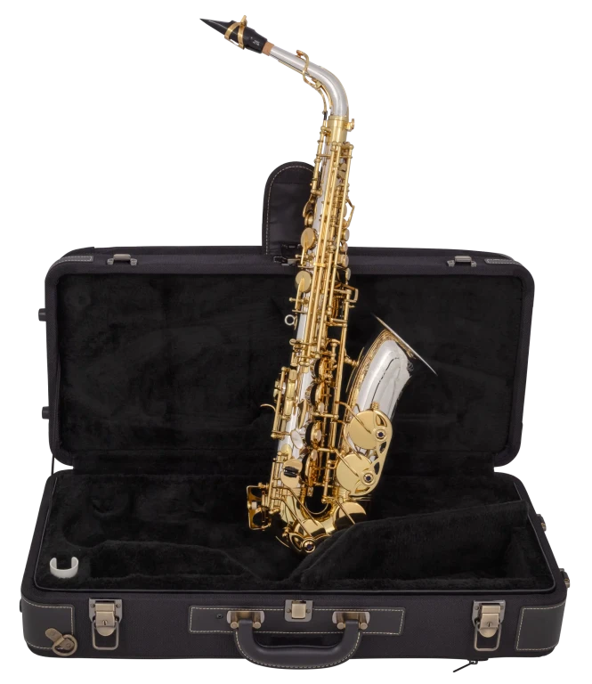 AW035 Yanagisawa Professional Alto Saxophone
