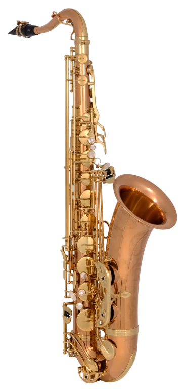 TWO20 Yanagisawa Professional Tenor Saxophone