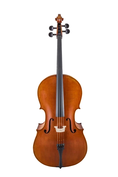 Scherl & Roth Cello SR75 Carved