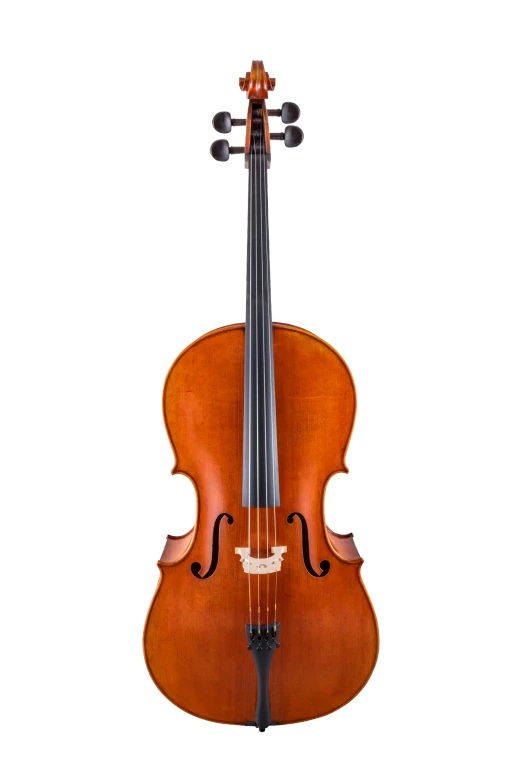 SR75E4H S&R Professional Cello