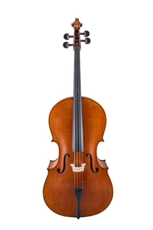 SR75E4H S&R Professional Cello