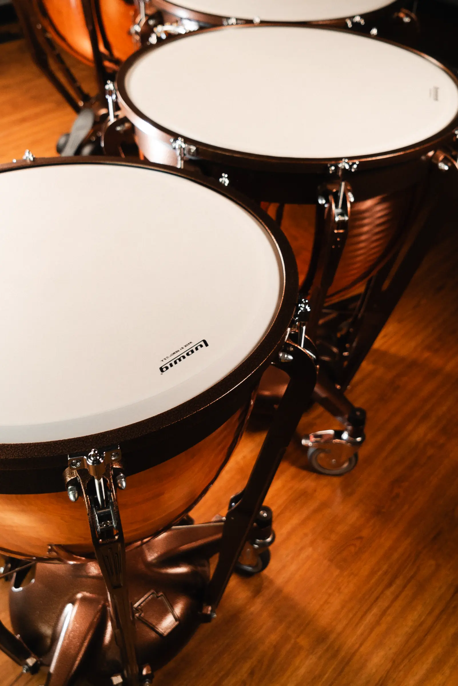 LTP504PG Ludwig Timpani Standard Lifestyle - zoomed in