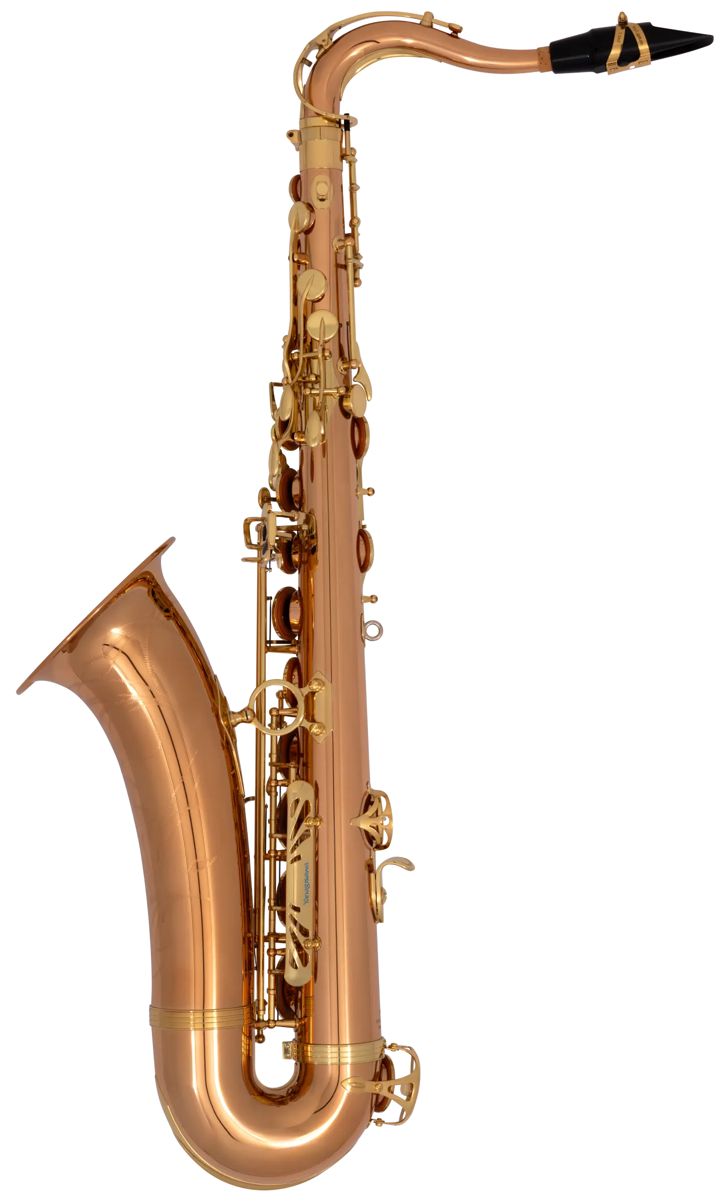 TWO2 Yanagisawa Professional Tenor Saxophone - zoomed in
