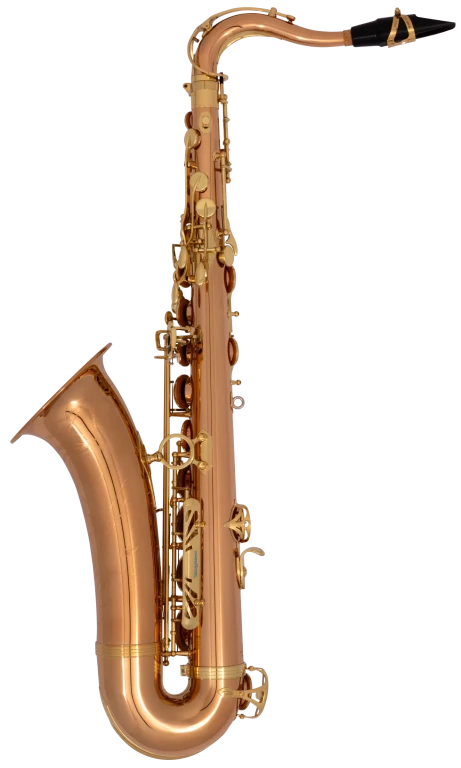 TWO2 Yanagisawa Professional Tenor Saxophone
