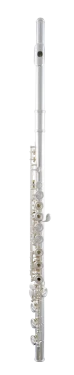 Selmer Concert Flute in C SFL511B