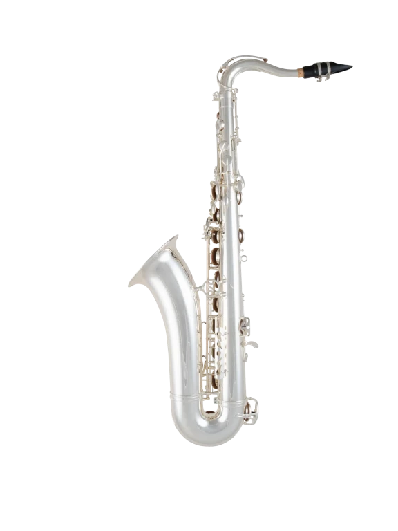 STS511S Selmer Silver Intermediate tenor Saxophone In Bk Vr