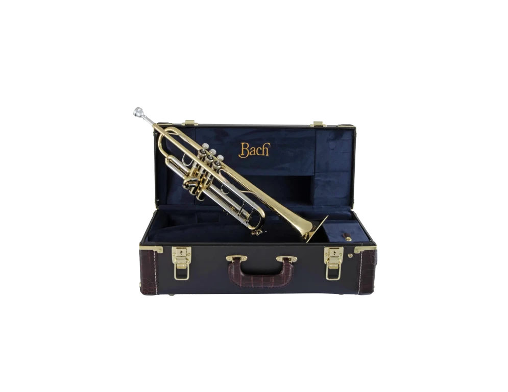 Bach Stradivarius Trumpet in Bb 19043 | Bach Brass Bach Stradivarius Trumpet in Bb 19043 | Bach Brass