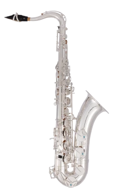 Yanagisawa Elite Tenor Saxophone in Bb TWO10S
