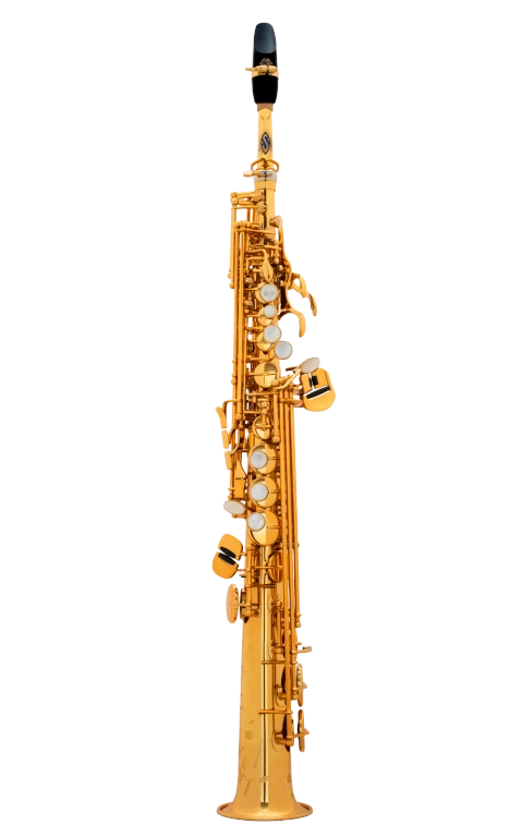 81SIGGP Henri SELMER Paris Signature Professional Soprano Saxophone