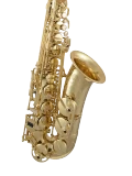 Selmer Paris Series II Alto Saxophone in Eb 52J