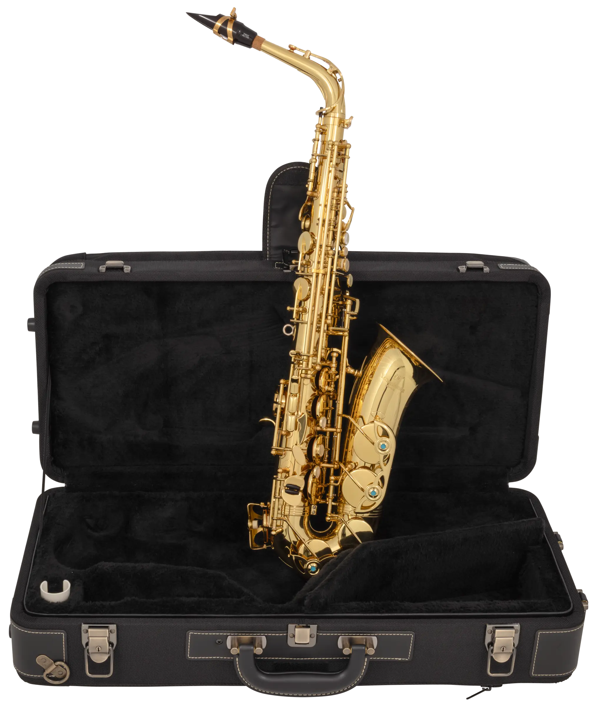 AW01 Yanagisawa Professional Alto Saxophone - zoomed in