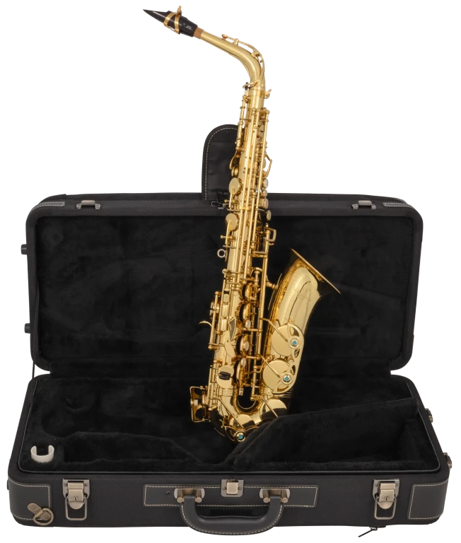 AW01 Yanagisawa Professional Alto Saxophone