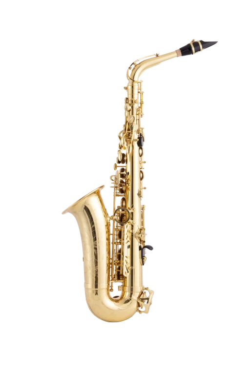 52AXOS HSP Professional AltoSaxophone