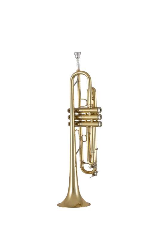 190M37X Bach Standard Professional BflatTrumpet