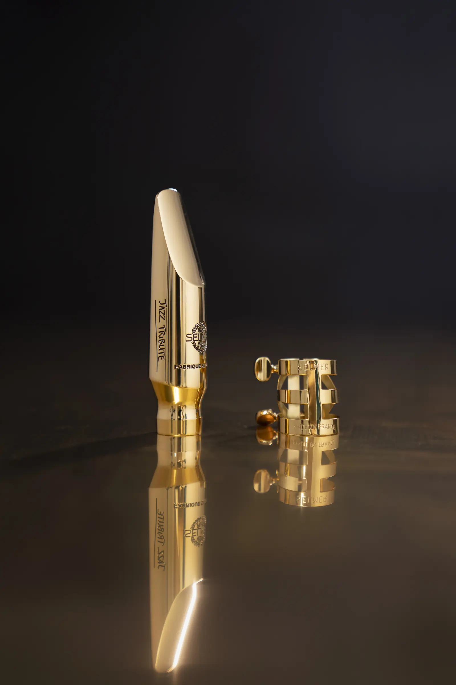 S474JT Henri Selmer Paris Jazz Tribute Tenor Saxophone Mouthpiece - zoomed in